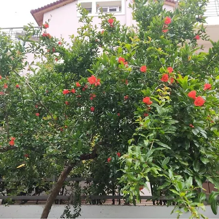 Appartement Wine Reflections Near Nafplio
