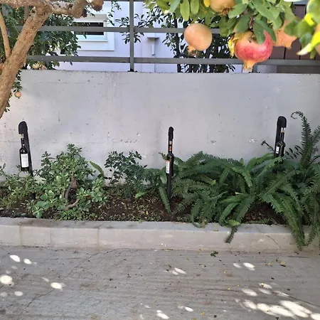 Wine Reflections Near Nafplio *