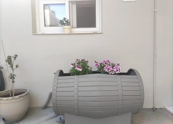 Wine Reflections Near Nafplio