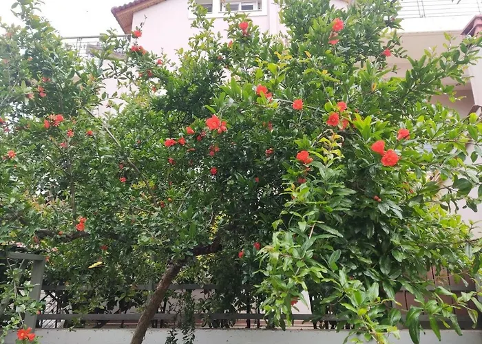 Apartment Wine Reflections Near Nafplio