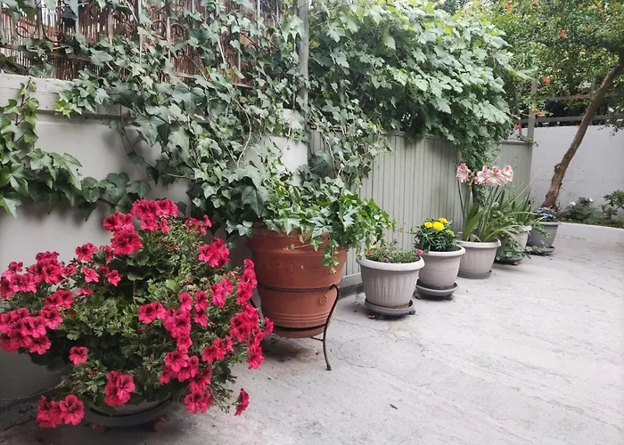Wine Reflections Near Nafplio *